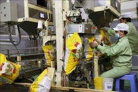 Le riz vietnamien s'écoule bien sur le marché de l'UE