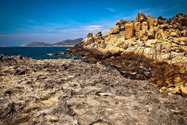 Réserve de biosphère de Nui Chua, un paradis pour les tortues marines