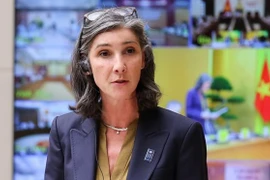 Le PNUD s'engage à soutenir le Vietnam dans la transition énergétique verte 