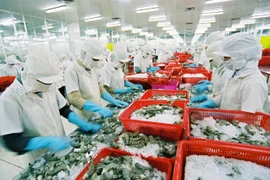 Les crevettes vietnamiennes dominent le marché japonais