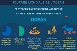 JOURNÉE MONDIALE DE L’OCÉAN, LE 8 JUIN