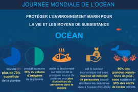 JOURNÉE MONDIALE DE L’OCÉAN, LE 8 JUIN