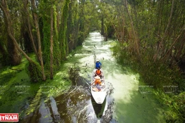 Excursion touristique à Long An 