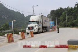 Un vade-mecum pour les exportations de fruits et légumes vers la Chine