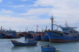 Poursuite de la lutte contre la pêche INN