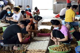 ASEAN : promotion du rôle des femmes dans l'agriculture