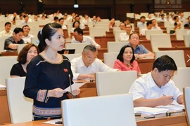 Le Vietnam vise à porter à 18% le taux de députés issus de minorités ethniques