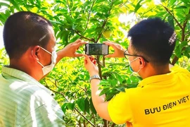 Une formation sur le commerce électronique pour les agriculteurs de Hung Yen