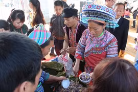 Activités du Village culturel et touristique des ethnies du Vietnam pour le Nouvel An 2021