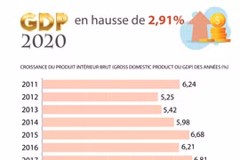 Croissance du PIB du Vietnam de 2,91% en 2020, l'un des plus élevés du monde