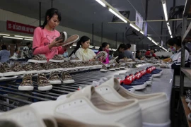 La Belgique et le Vietnam tissent une coopération multiforme