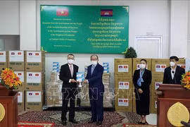 COVID-19 : le Vietnam offre des fournitures médicales au Cambodge
