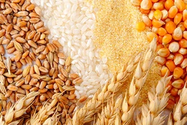 Le Cambodge pourra exporter 5 millions de tonnes de produits agricoles cette année