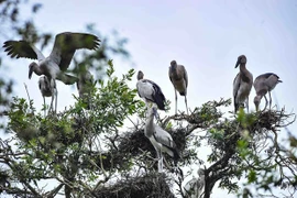 Proposition de créer un réseau des Sites Ramsar du Vietnam