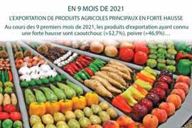EN 9 MOIS : L’EXPORTATION DE PRODUITS AGRICOLES PRINCIPAUX EN FORTE HAUSSE