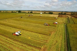 Agriculture : le Vietnam ambitionne de figurer parmi les 15 pays les plus développés du monde