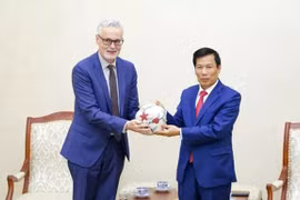Vietnam-Allemagne : bons résultats de la coopération culturelle, sportive et touristique