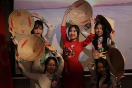Ouverture de la Semaine culturelle vietnamienne en Hongrie