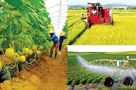 L’agriculture durable au Vietnam: un mouvement qui se développe
