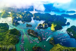 Le dossier de candidature de la «Baie d'Ha Long – archipel de Cat Ba» pour l’UNESCO achevé