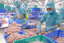 Promouvoir les exportations des produits aquatiques du Vietnam vers les marchés du RCEP