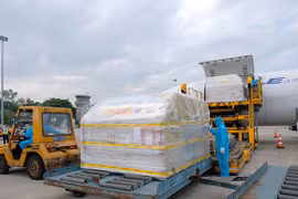 COVID-19 : Plus de 97.000 doses du premier lot de vaccin de Pfizer sont arrivés au Vietnam