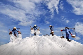 Le Vietnam dans le viseur de photographes étrangers