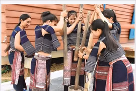 La fête du riz nouveau des Bahnar