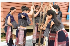 La fête du riz nouveau des Bahnar