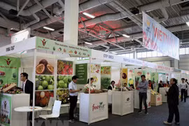 Des entreprises vietnamiennes au Fruit Logistica 2020 à Berlin