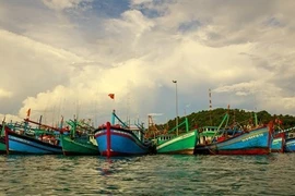 Binh Thuan oeuvre pour mettre fin à la pêche INN