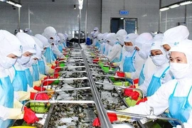 Soc Trang vise un chiffre d’affaires à l’export dépassant le milliard de dollars