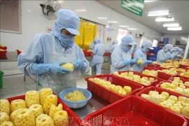 Expansion des débouchés pour les fruits et légumes vietnamiens
