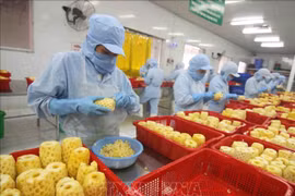 Expansion des débouchés pour les fruits et légumes vietnamiens