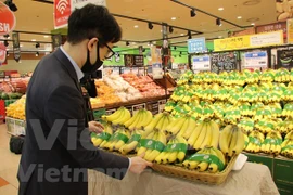 Les exportations de fruits et légumes rebondissent de 8,4% en juin