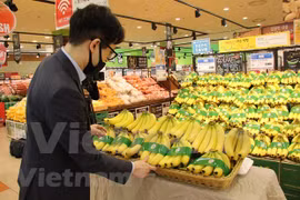 Les exportations de fruits et légumes rebondissent de 8,4% en juin