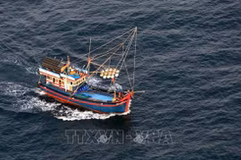 Le Vietnam redouble ses efforts pour éradiquer la pêche illégale