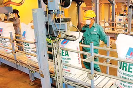L’engrais azoté Phu My dans la liste des 40 marques les plus puissantes au Vietnam