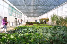 L’AFD assiste des projets non gouvernementaux au Vietnam