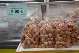 Belles perspectives pour les exportations de fruits et légumes