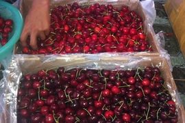 Les importations de fruits et légumes australiens en hausse 