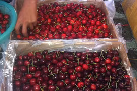 Les importations de fruits et légumes australiens en hausse 