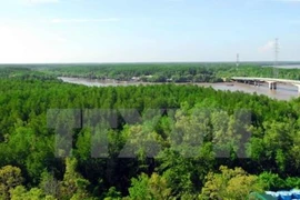 Système d'information pour une meilleure gestion des forêts