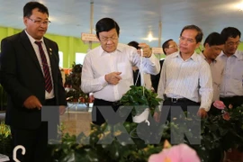 Le président Truong Tan Sang salue les modèles agricoles high tech de Lam Dong