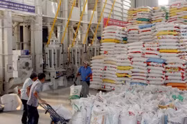 Cuba appelle les entreprises vietnamiennes à venir investir sur son sol 