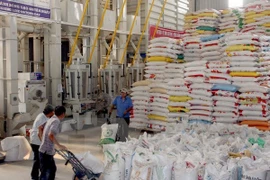 Cuba appelle les entreprises vietnamiennes à venir investir sur son sol 