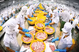 17 entreprises vietnamiennes autorisées à exporter des produits aquatiques au Panama