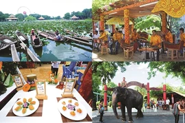 Le 6e Festival gastronomique «Dât Phuong Nam»