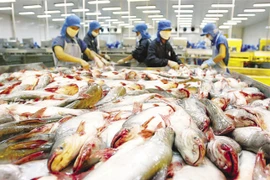 La Chine, 2e importateur de pangasius du Vietnam