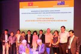 Industrie du macadamia : le Vietnam et l’Australie se serrent la main